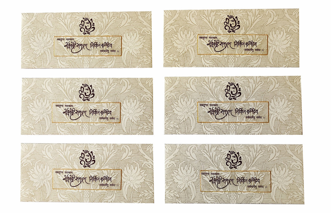 Money / Shagun Envelopes - Set of 20 (ME0155)